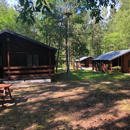 Lesnik Bungalow Stegna - Domki Letniskowe Nad Morzem Exteriér fotografie