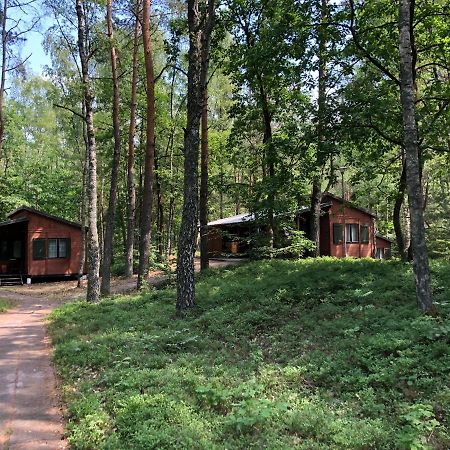 Lesnik Bungalow Stegna - Domki Letniskowe Nad Morzem Exteriér fotografie