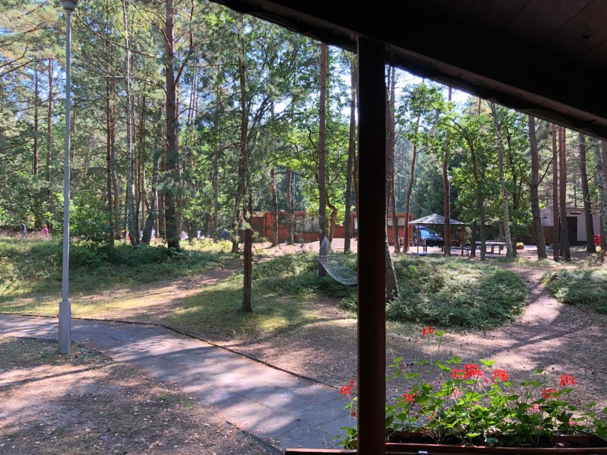 Lesnik Bungalow Stegna - Domki Letniskowe Nad Morzem Exteriér fotografie