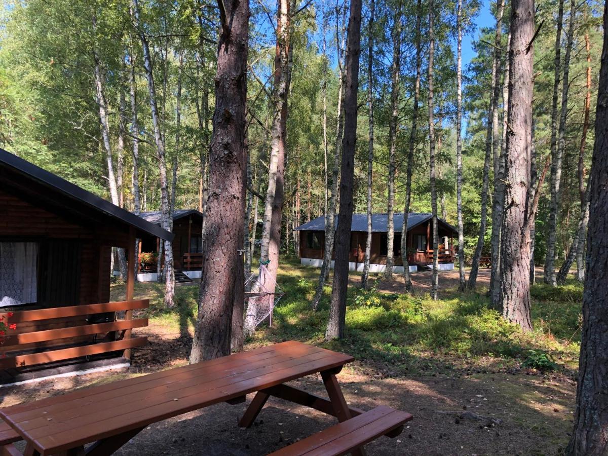 Lesnik Bungalow Stegna - Domki Letniskowe Nad Morzem Exteriér fotografie