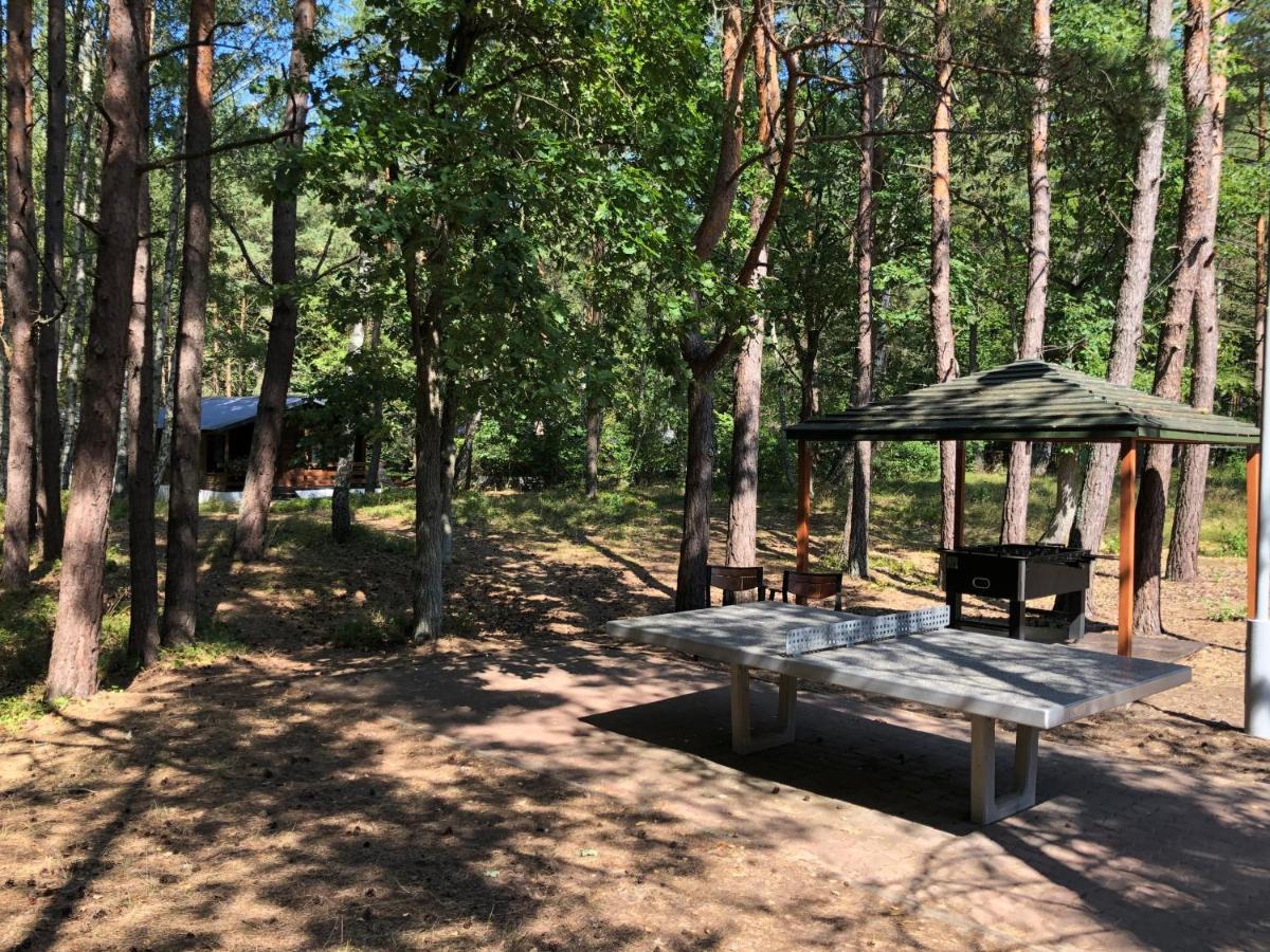 Lesnik Bungalow Stegna - Domki Letniskowe Nad Morzem Exteriér fotografie