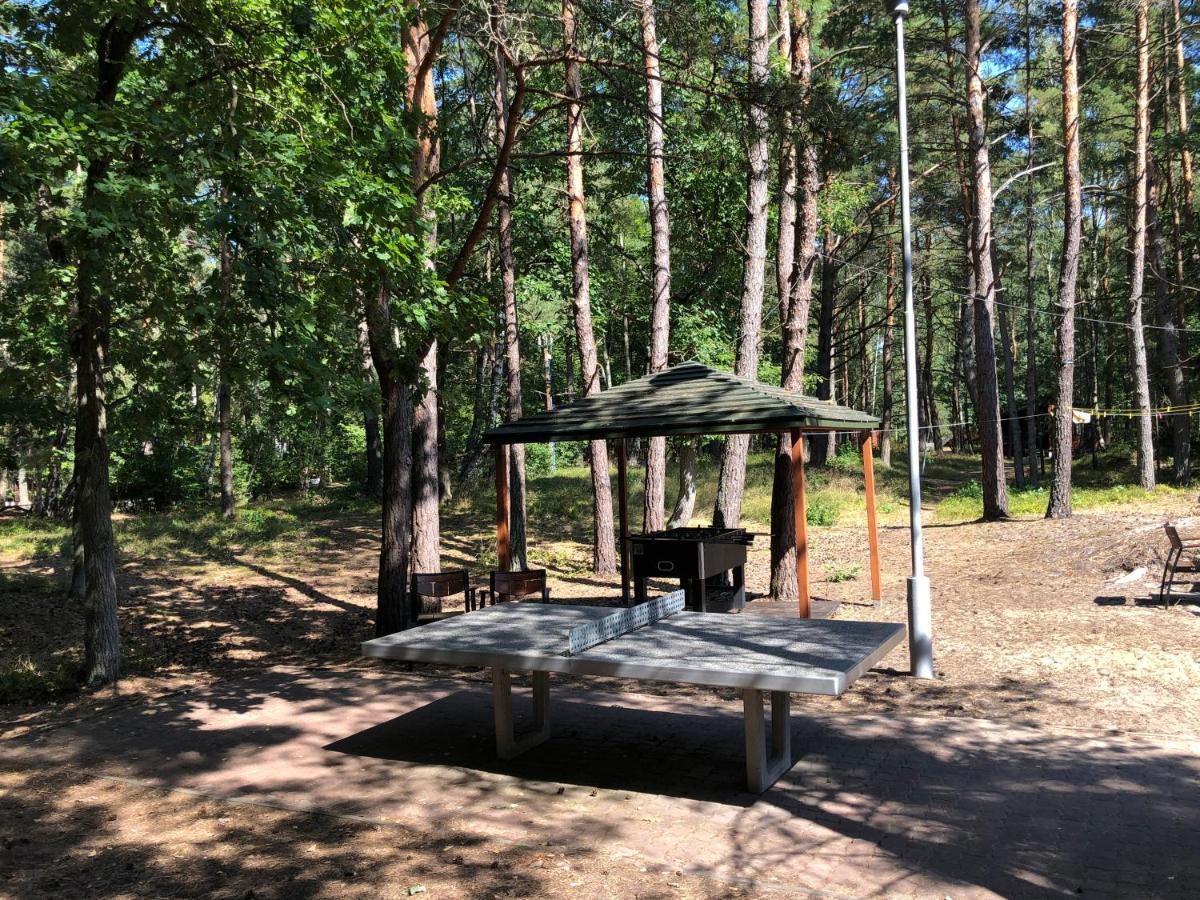 Lesnik Bungalow Stegna - Domki Letniskowe Nad Morzem Exteriér fotografie