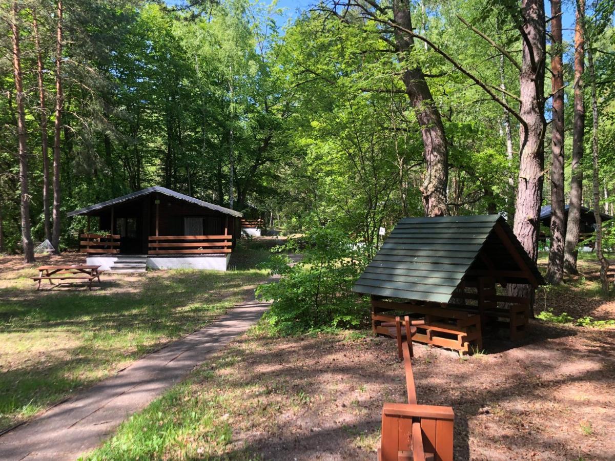 Lesnik Bungalow Stegna - Domki Letniskowe Nad Morzem Exteriér fotografie